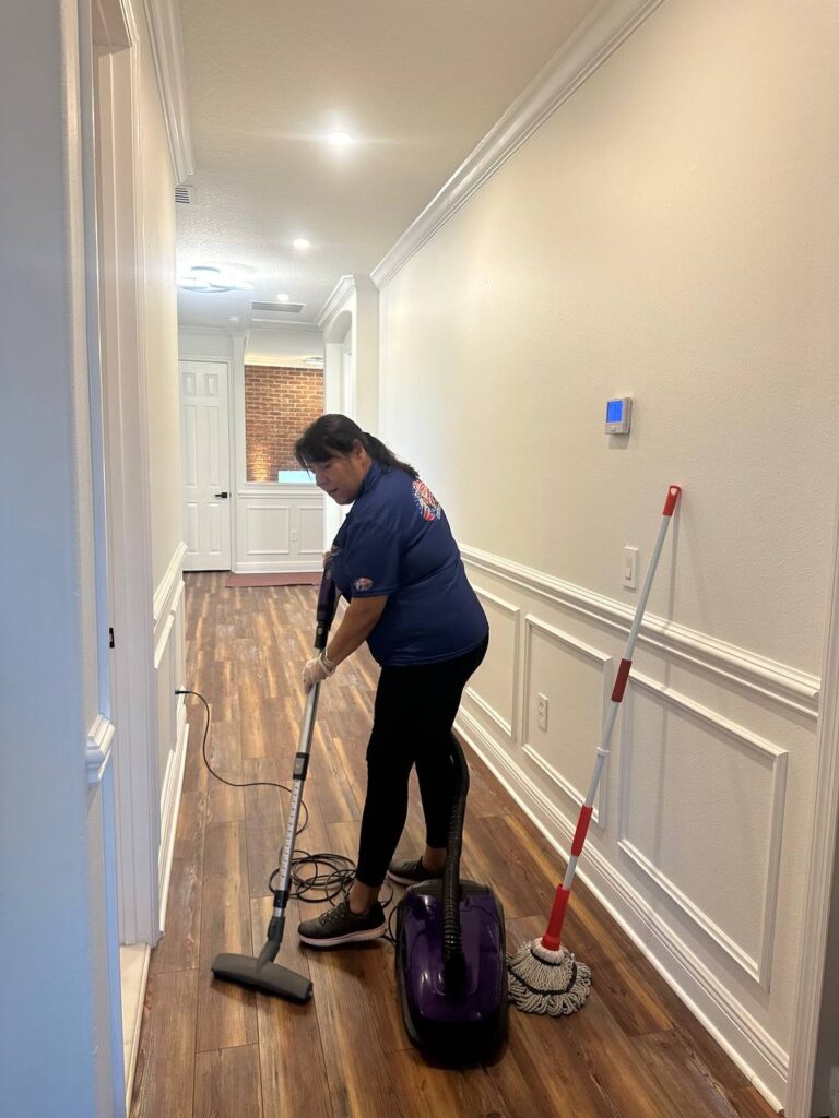 house cleaning Windermere FL living room 0005FDA7-B077-472C-B4A7-E4C420C63BD7