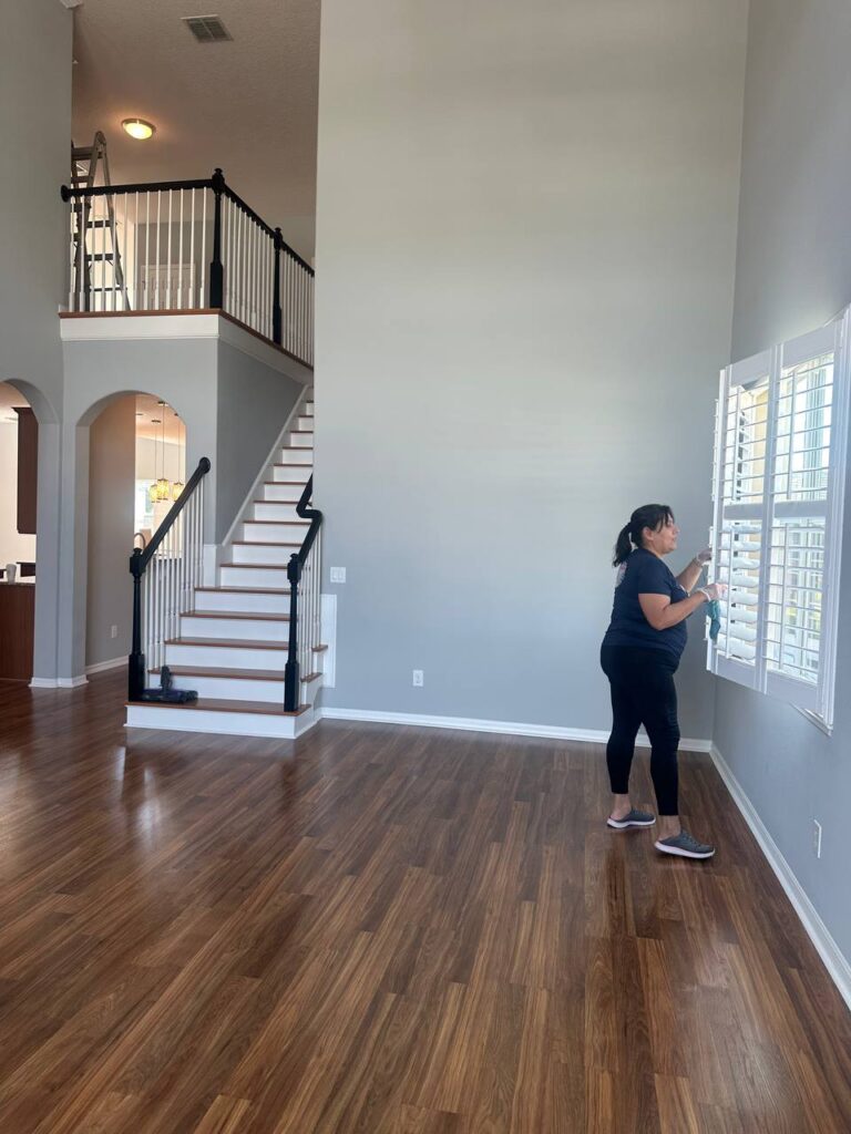 house cleaning Windermere FL living room EA262AAD-2711-49DF-8F89-069906866B20